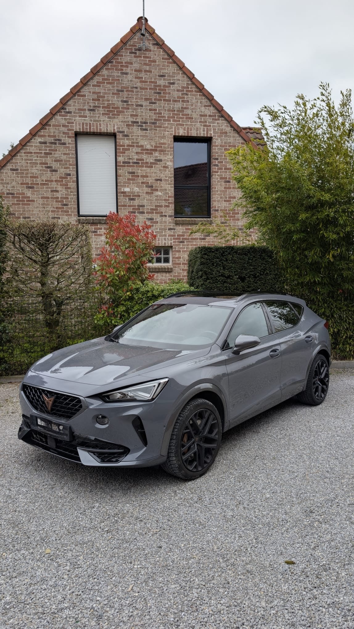 CUPRA 2.0 TSI VZ 4Drive DSG-image-0