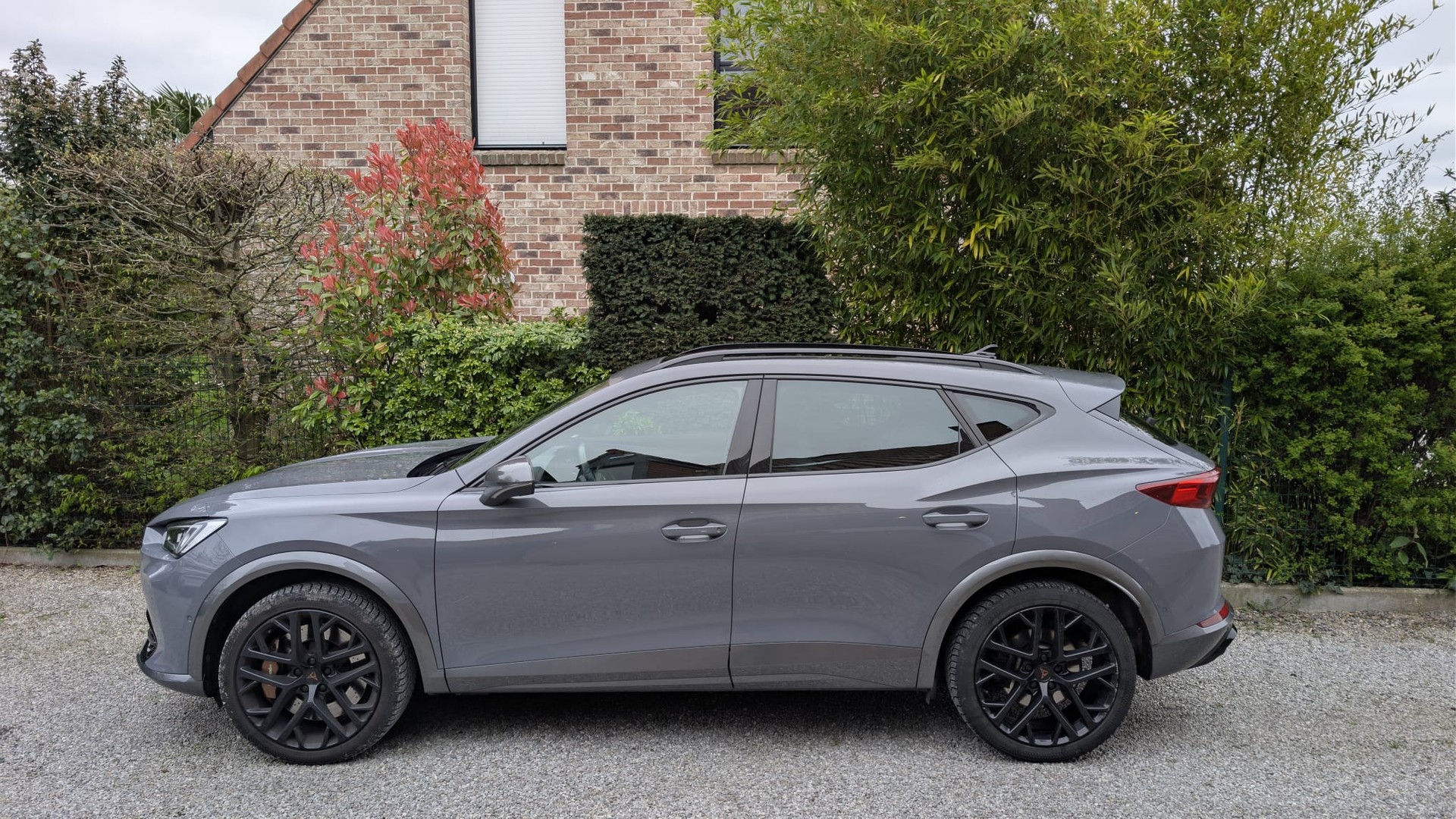 CUPRA 2.0 TSI VZ 4Drive DSG-image-1