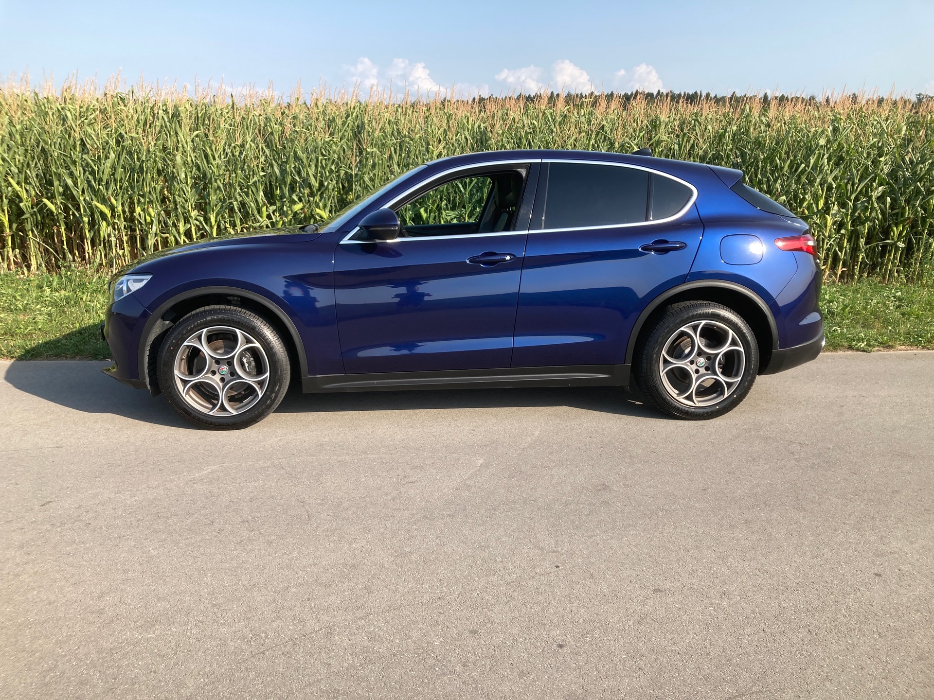 ALFA ROMEO Stelvio 2.2 JTDM Executive Q4 Automatic-image-4