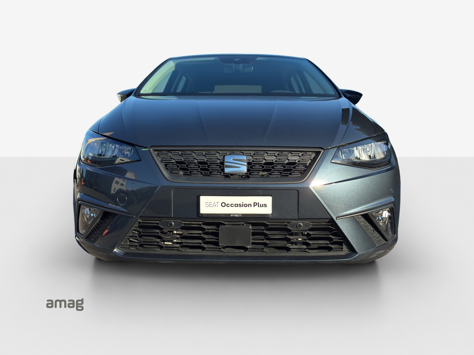 SEAT Ibiza 1.0 EcoTSI Sensacion DSG-showroom-element-1