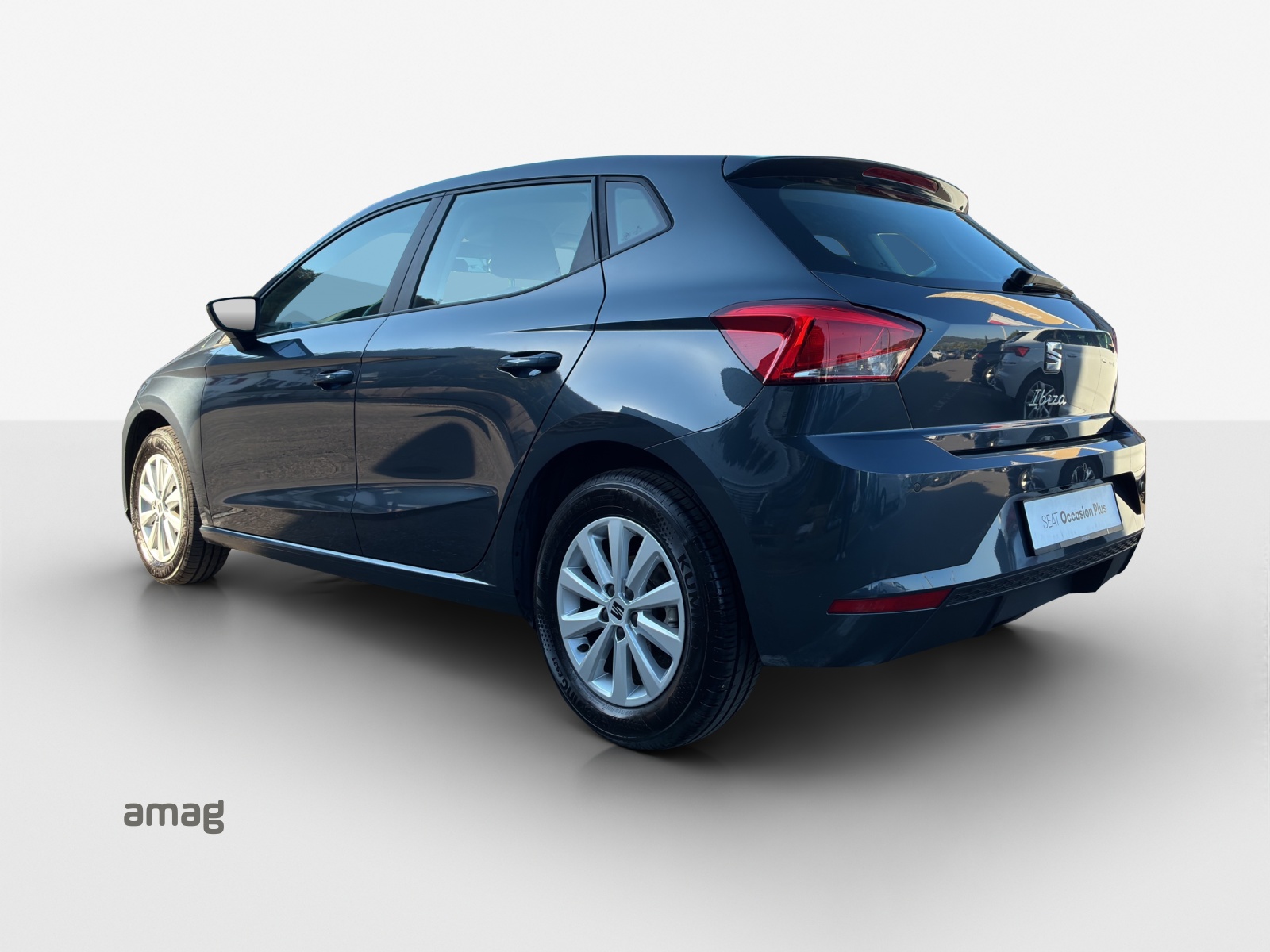 SEAT Ibiza 1.0 EcoTSI Sensacion DSG-showroom-element-3