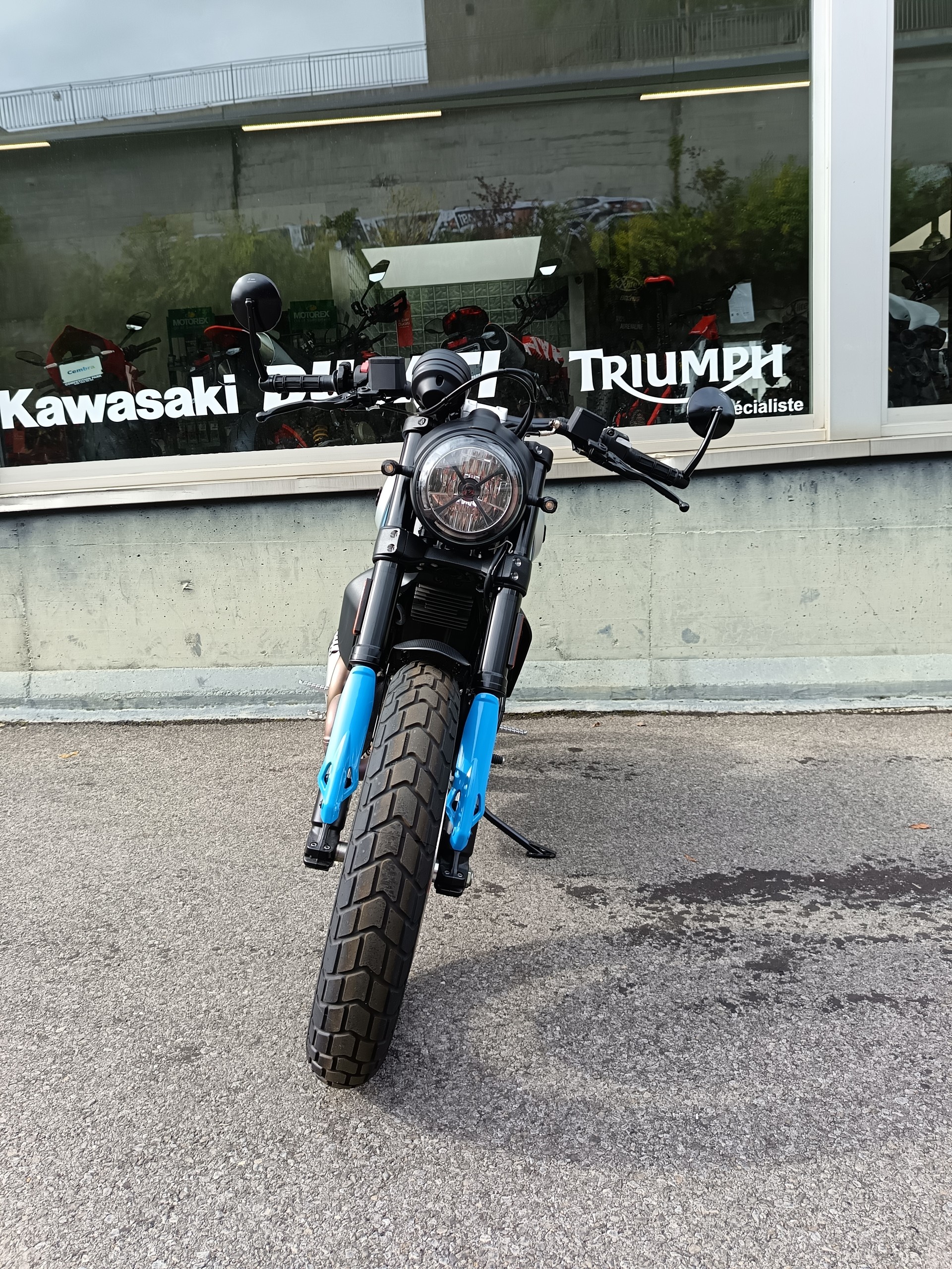 DUCATI Scrambler 803 Icon-showroom-element-3
