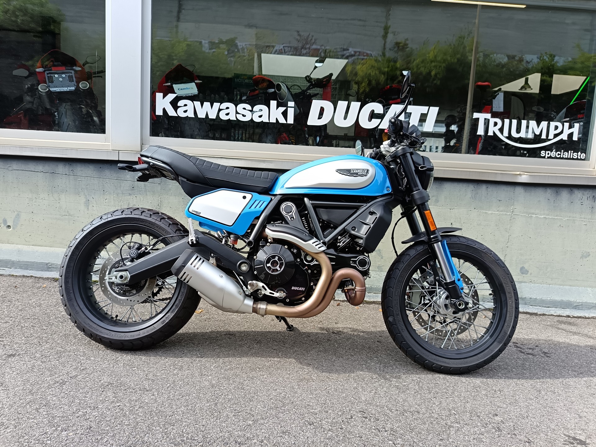 DUCATI Scrambler 803 Icon