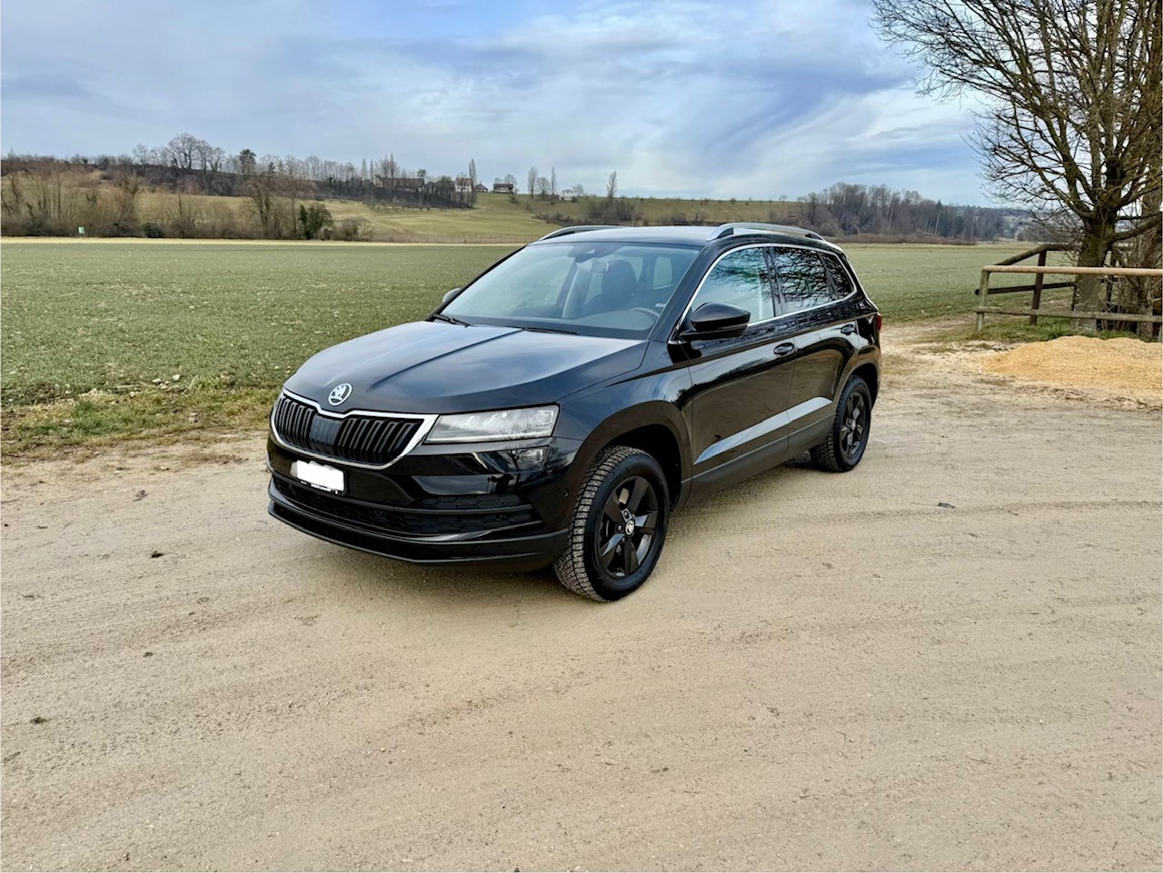 SKODA Karoq 2.0 TDI CR Style 4x4 DSG-image-1