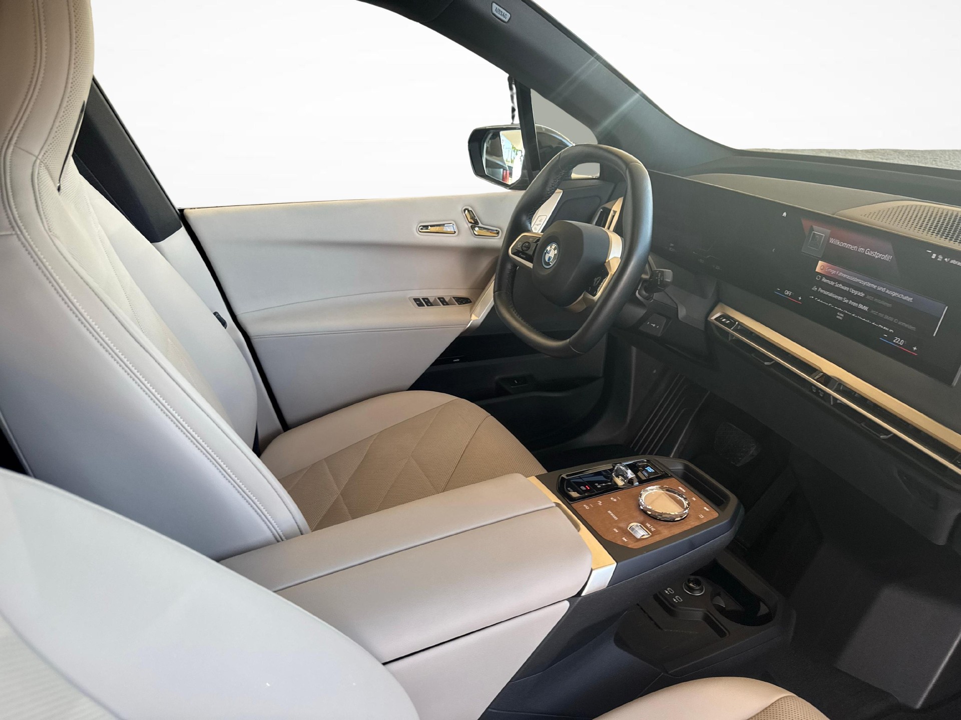 BMW iX xDrive50-image-10