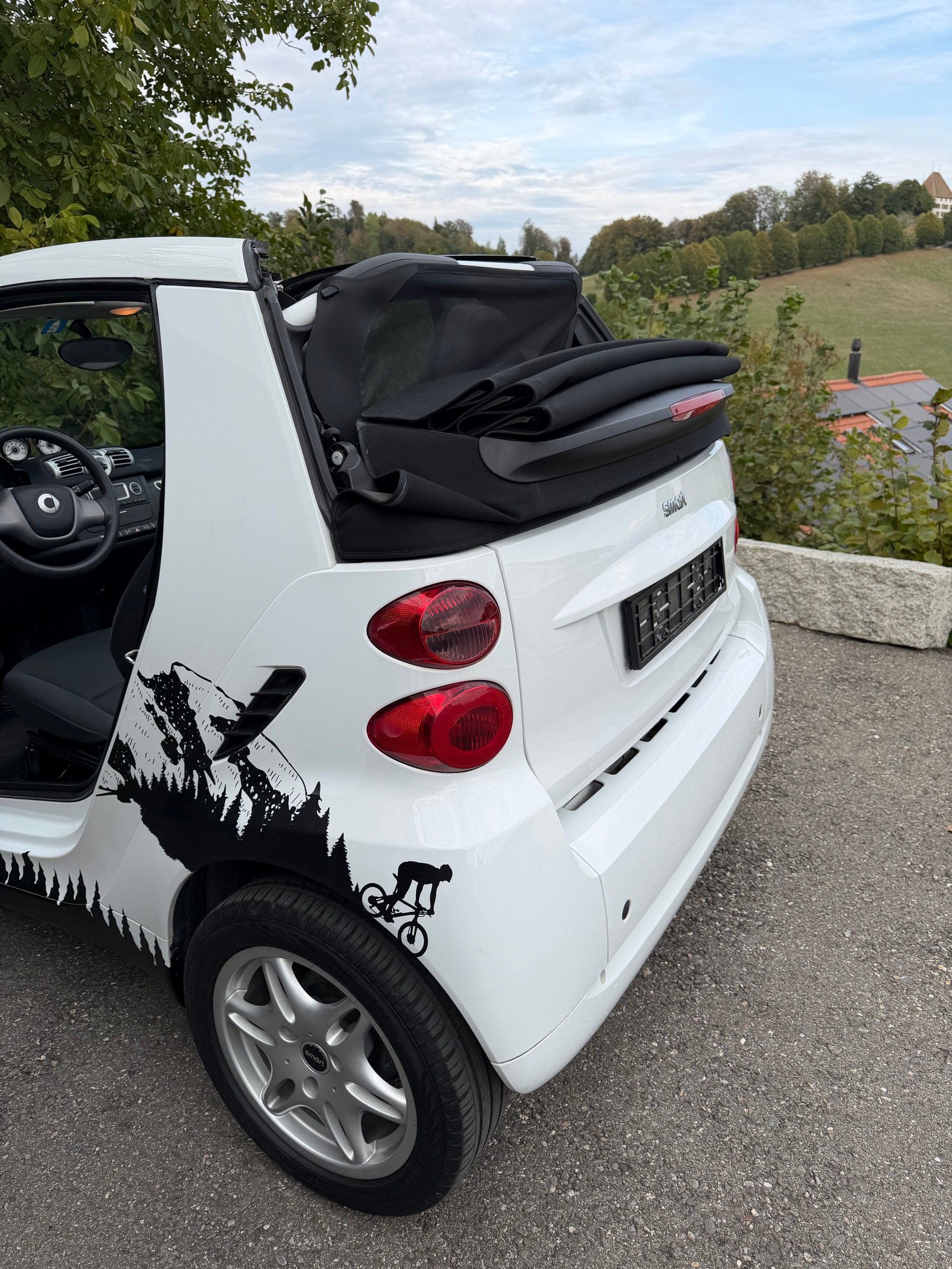 SMART 1000 71 swiss edition mhd-image-4
