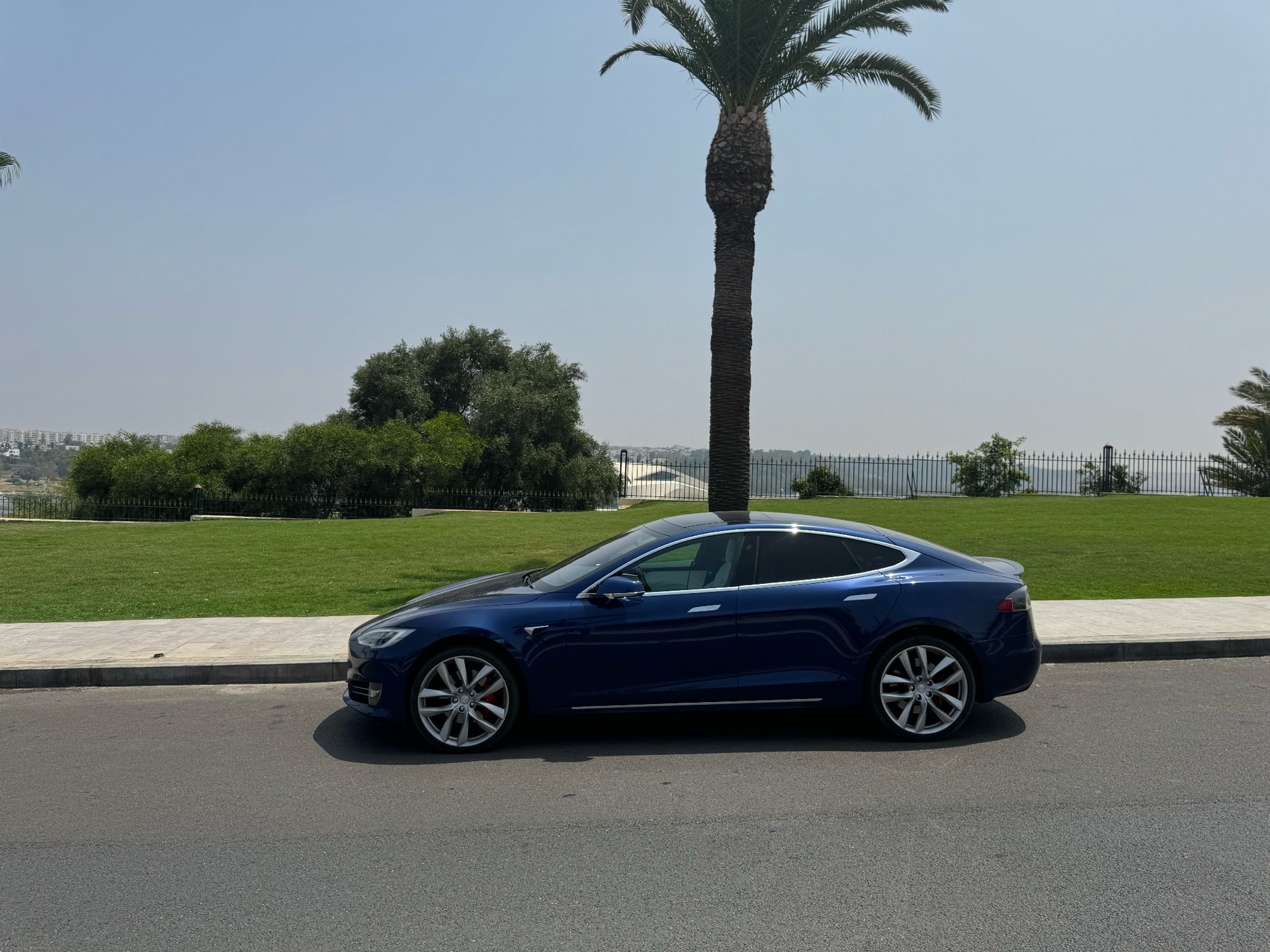 TESLA Model S 100 D Performance-image-3