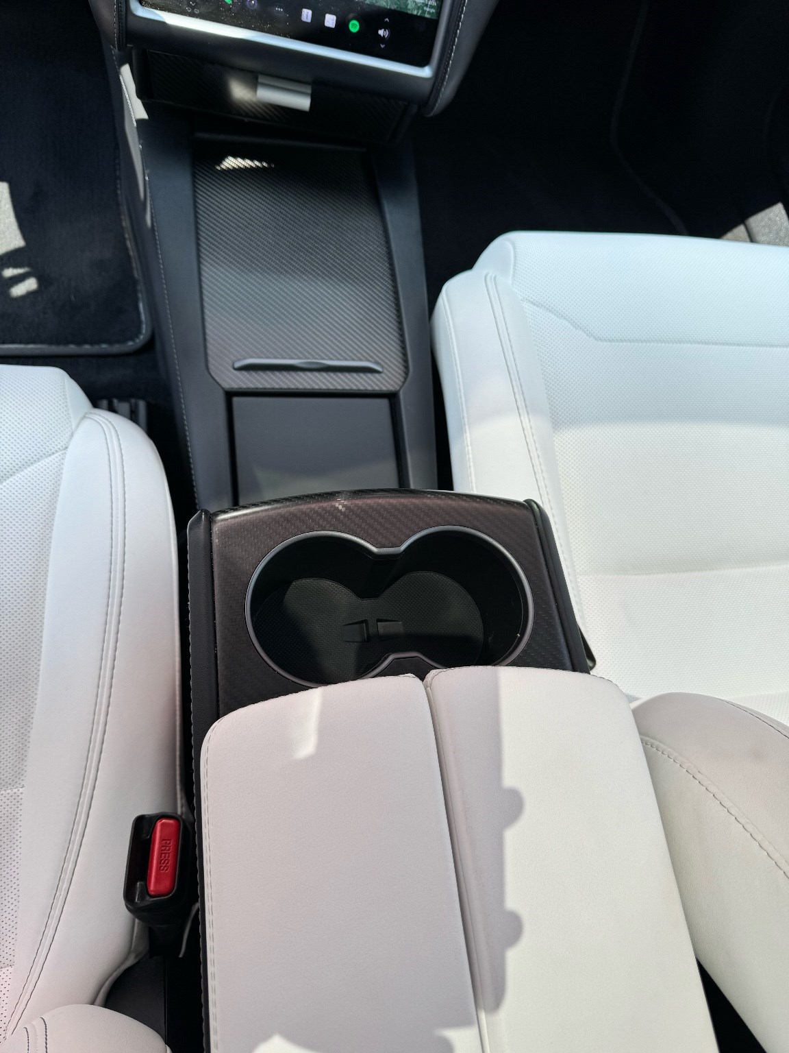 TESLA Model S 100 D Performance-image-18