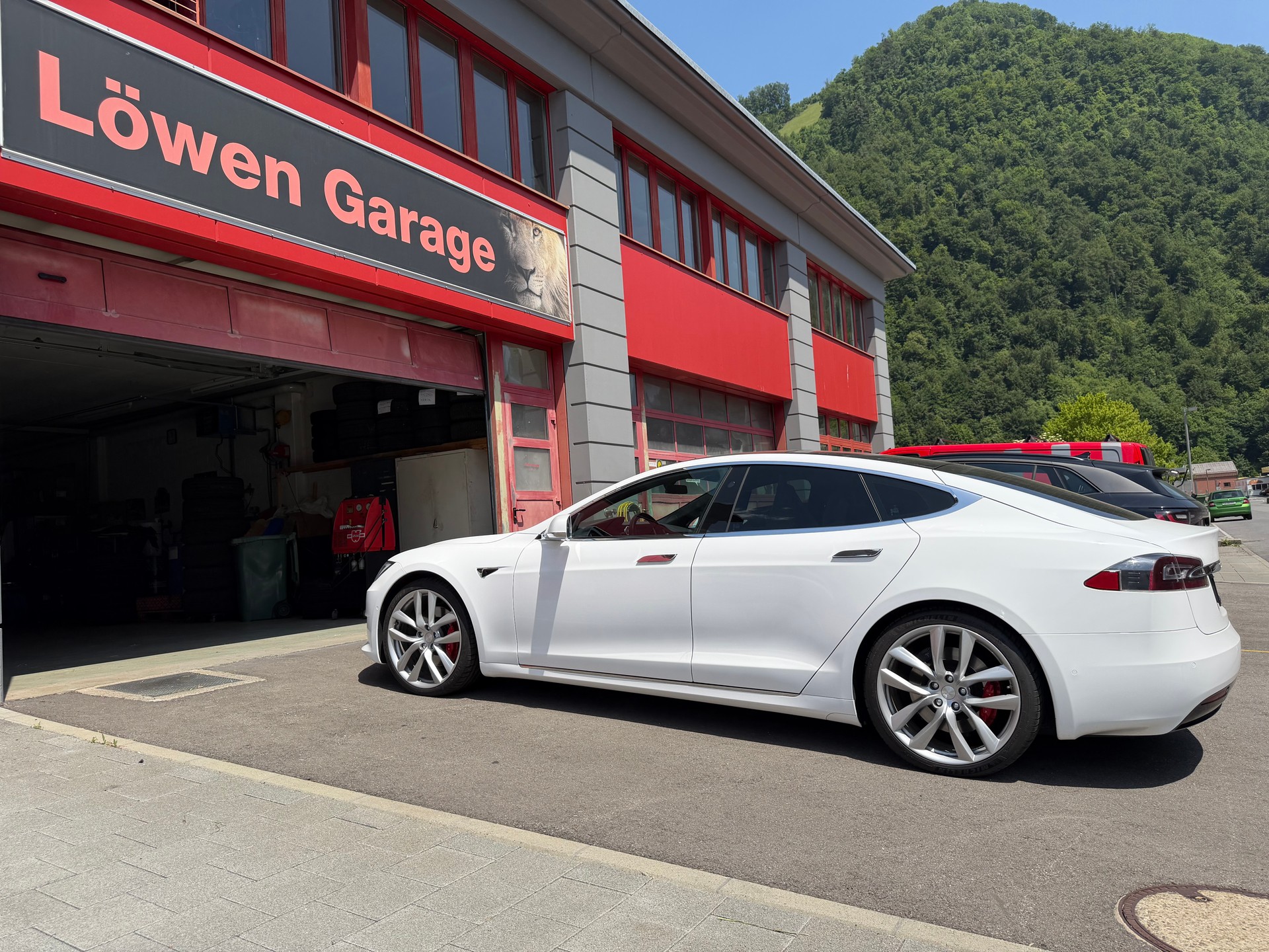 TESLA Model S 100 D Performance-image-0
