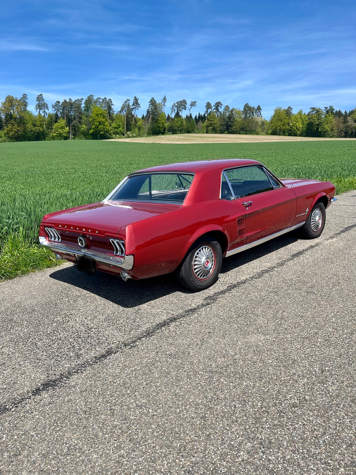 FORD Mustang 1967 Oldtimer-image-1