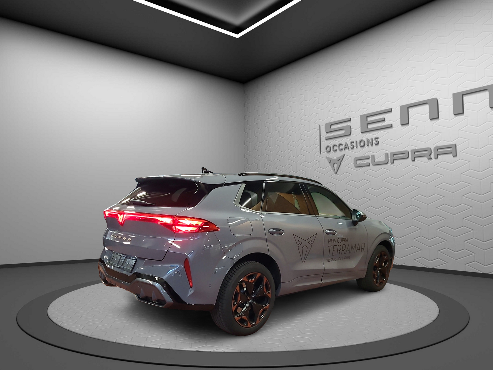 CUPRA Terramar 2.0 TSI DSG 4Drive VZ-image-2