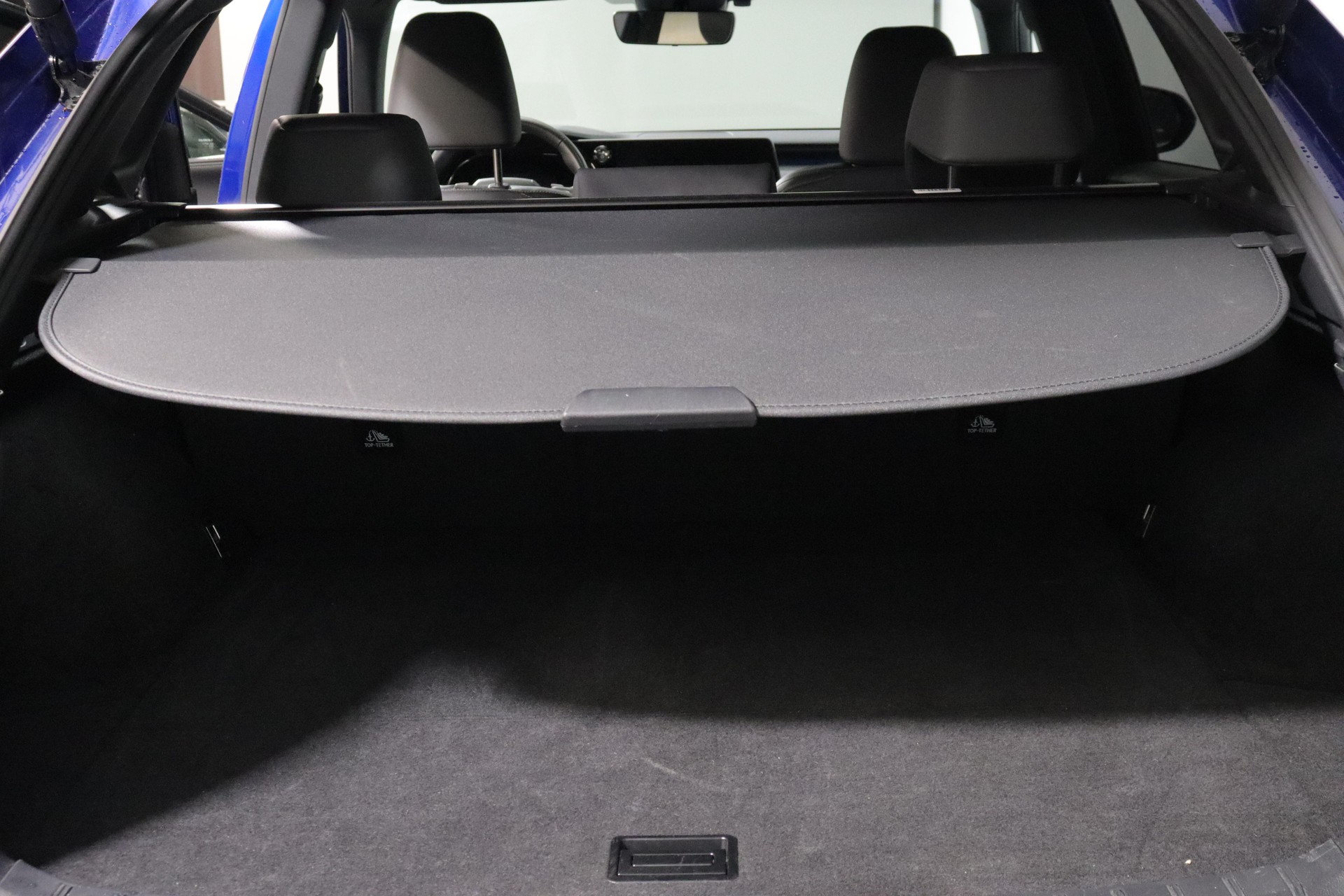 LEXUS RX 350h F-Line-image-12