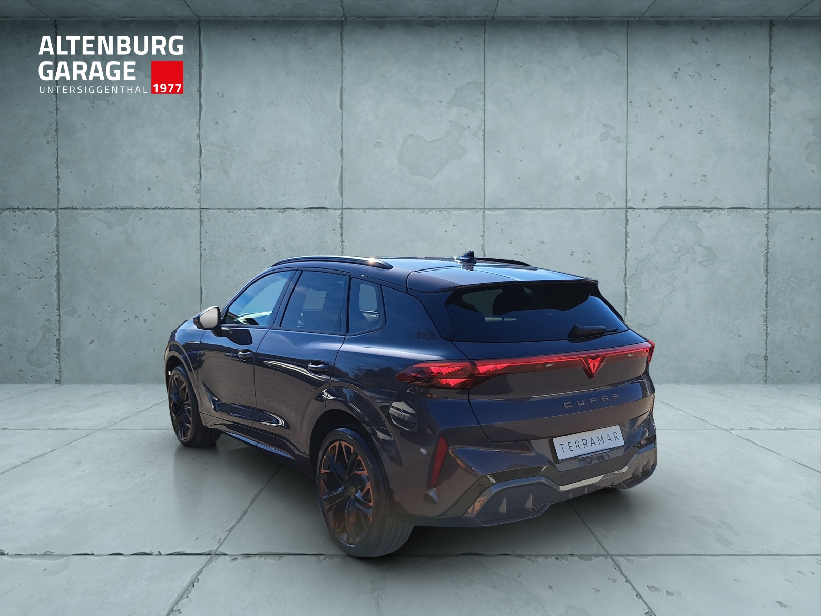 CUPRA Terramar 2.0 TSI DSG Prime Edition VZ 4Drive-image-2