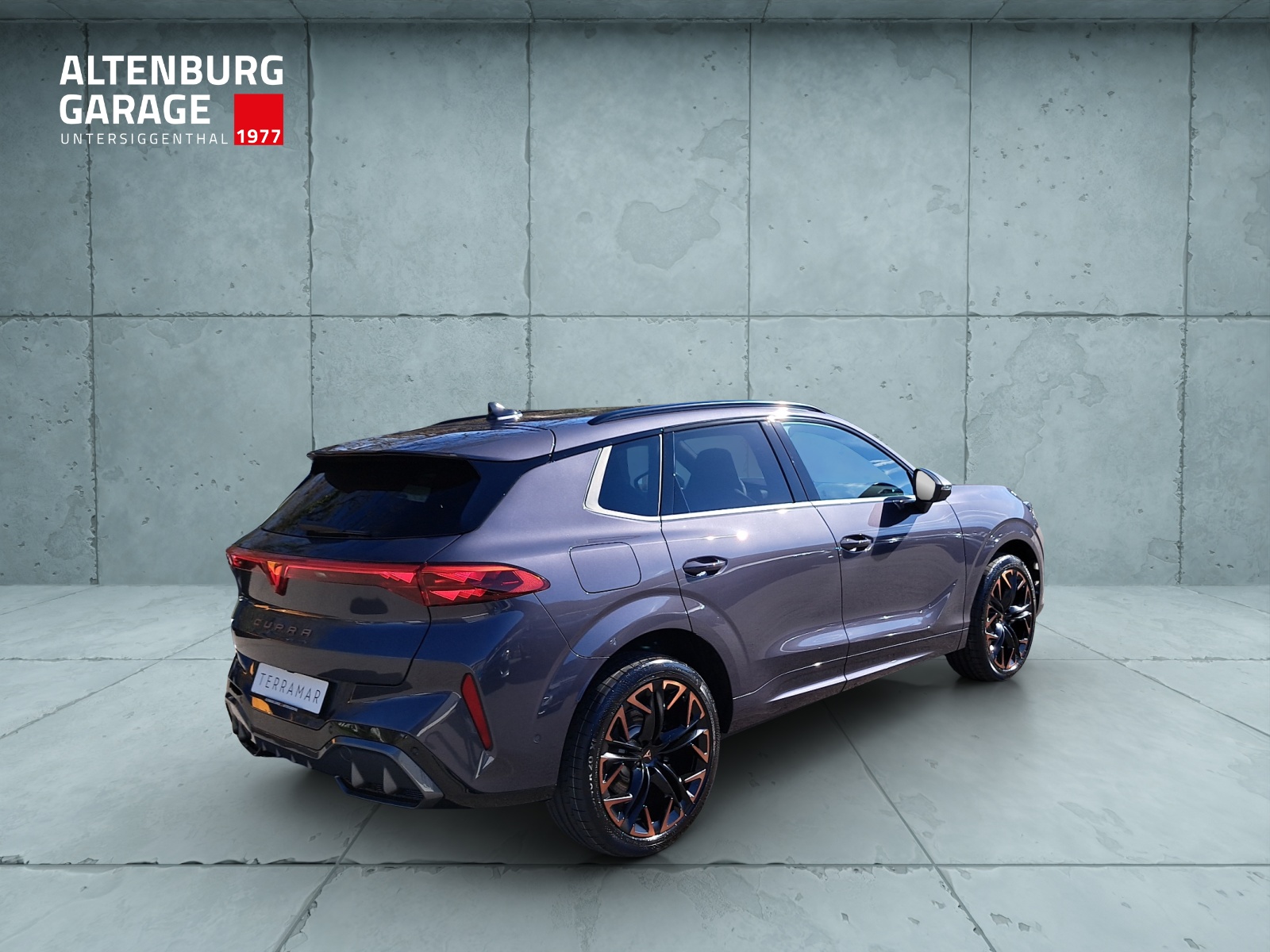 CUPRA Terramar 2.0 TSI DSG Prime Edition VZ 4Drive-image-4