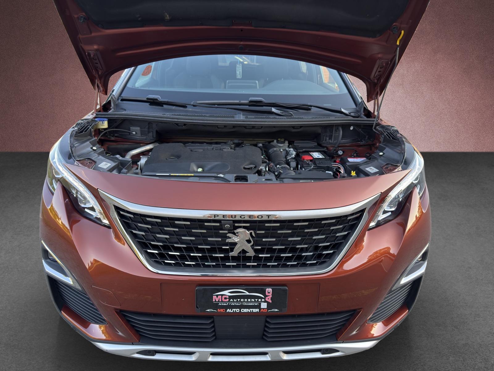 PEUGEOT 3008 2.0 BlueHDi GT EAT-image-14