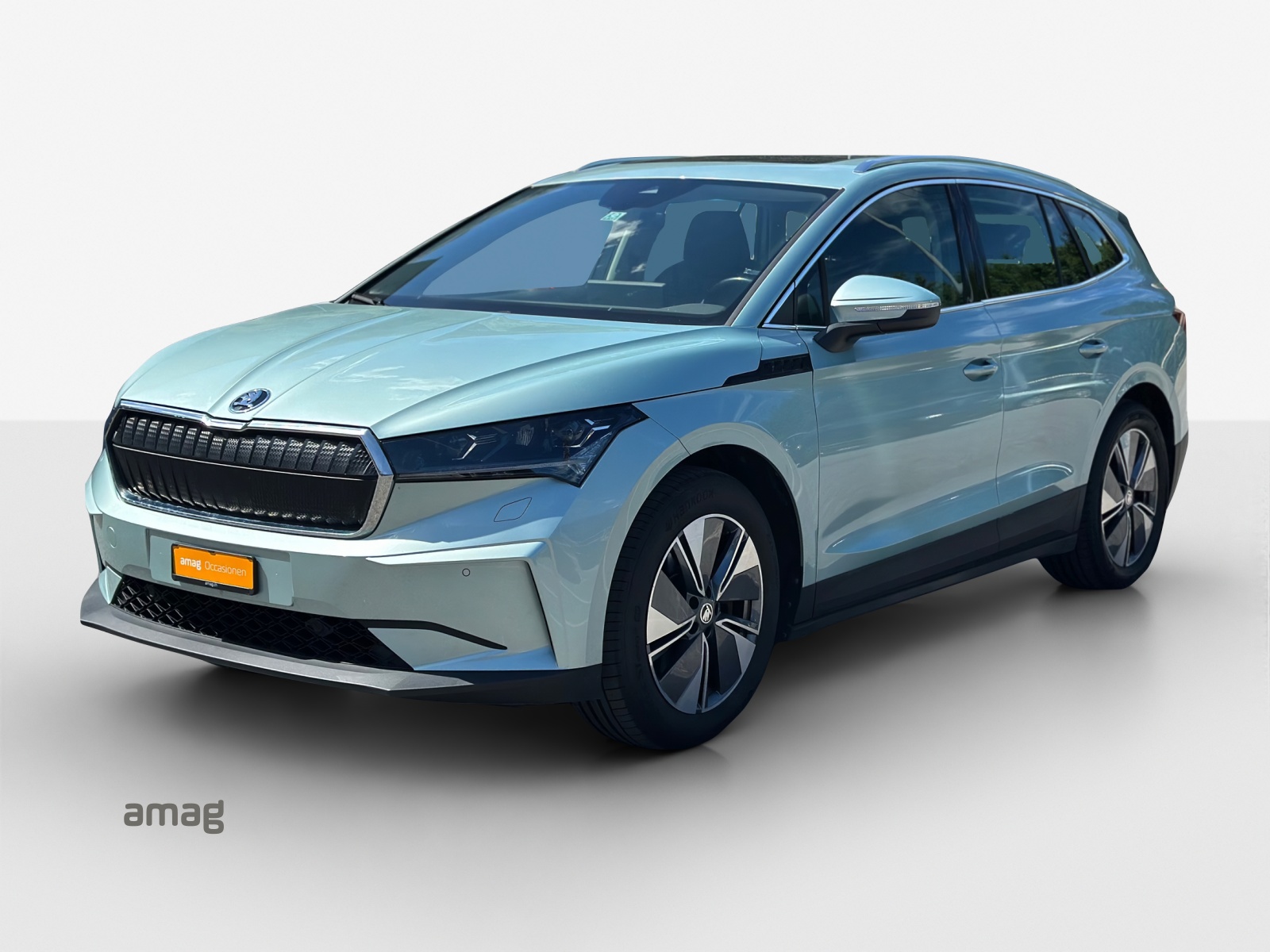 SKODA Enyaq iV 80x-image-0