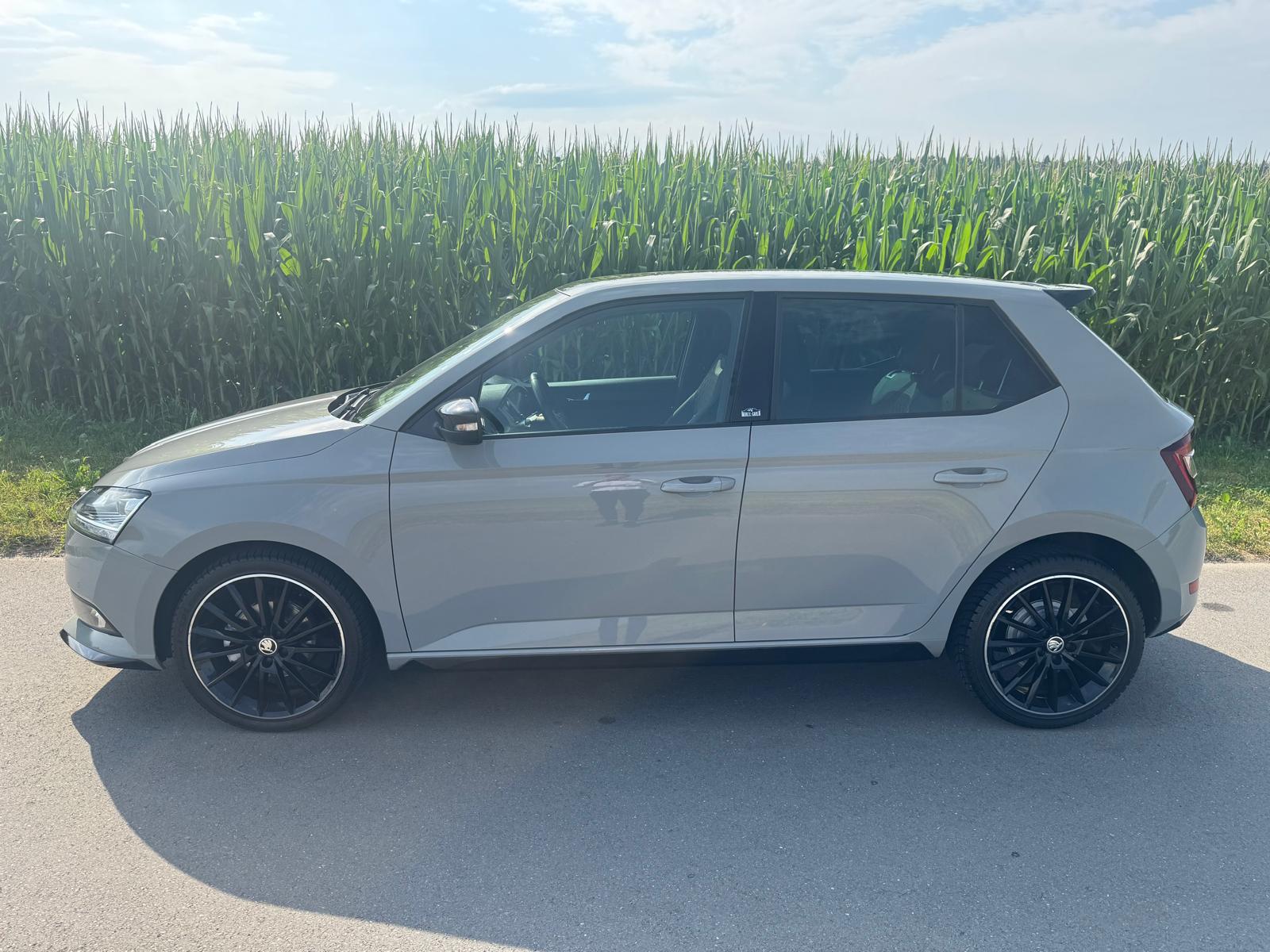 SKODA Fabia 1.0 TSI Monte Carlo-image-2