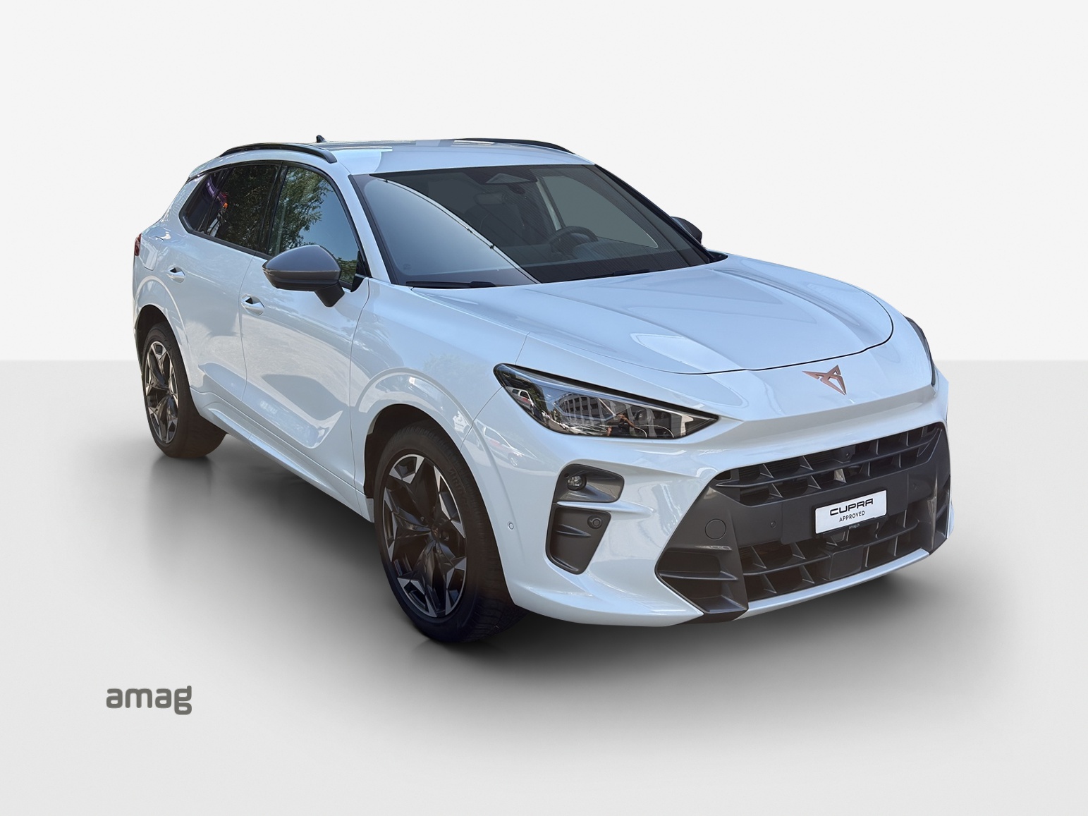CUPRA Terramar 1.5 eHybrid DSG VZ-image-6