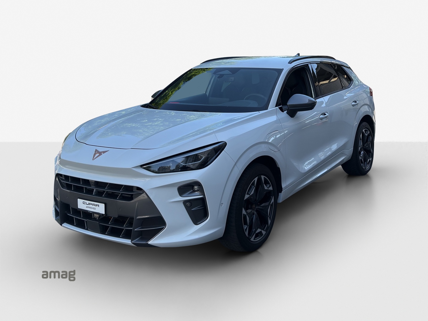 CUPRA Terramar 1.5 eHybrid DSG VZ-image-0