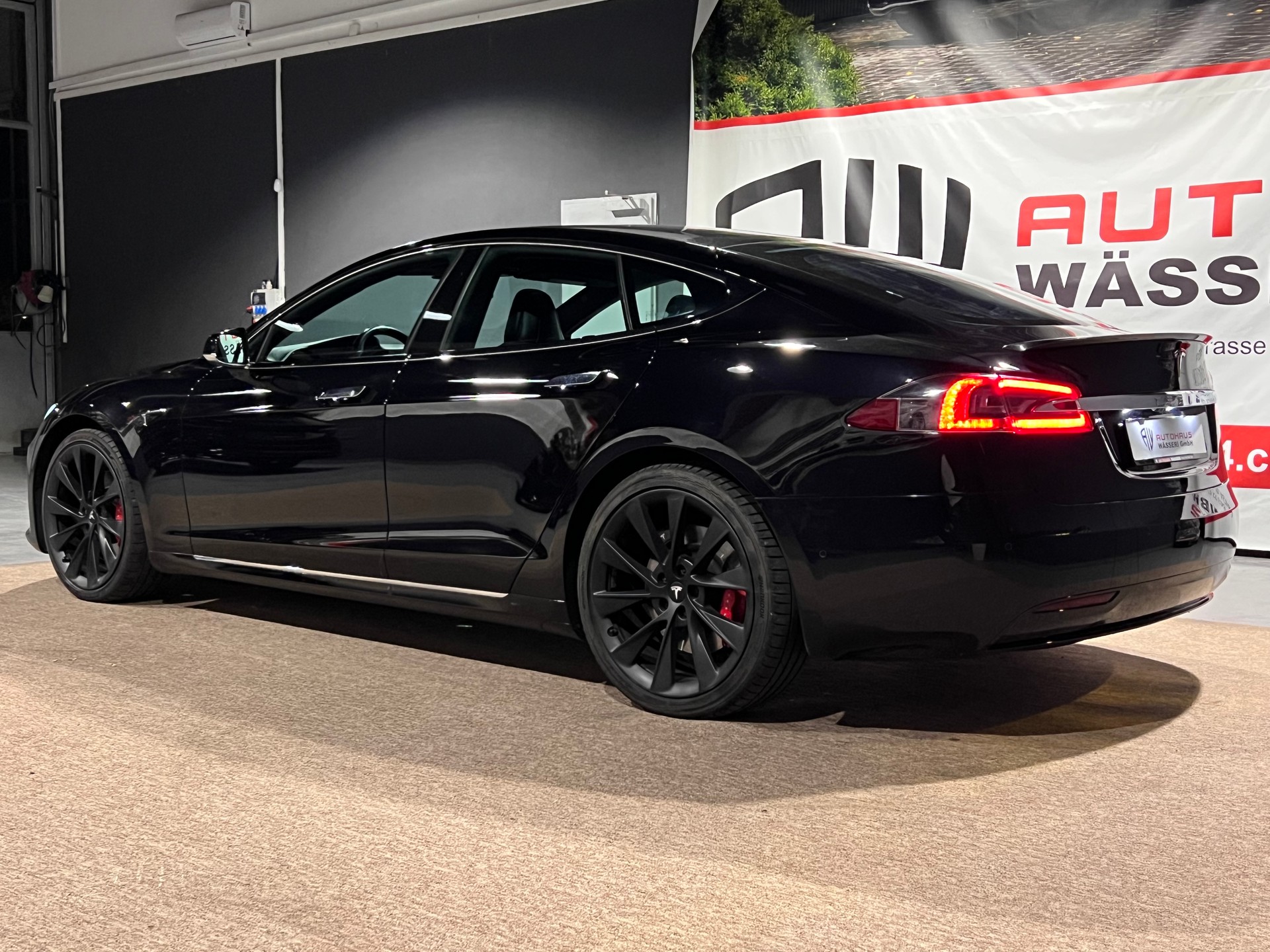 TESLA Model S 100 D Performance-image-5