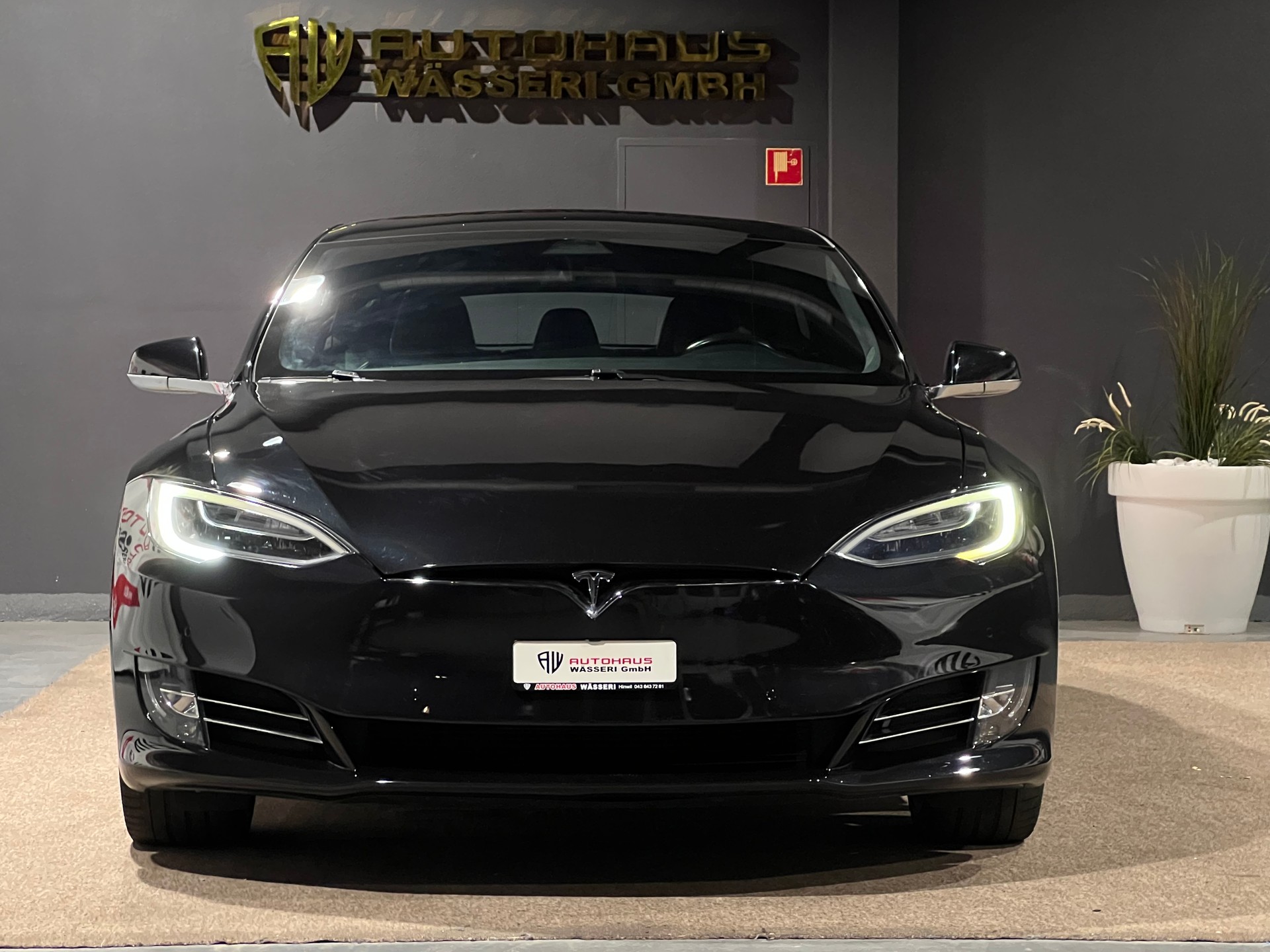 TESLA Model S 100 D Performance-image-8