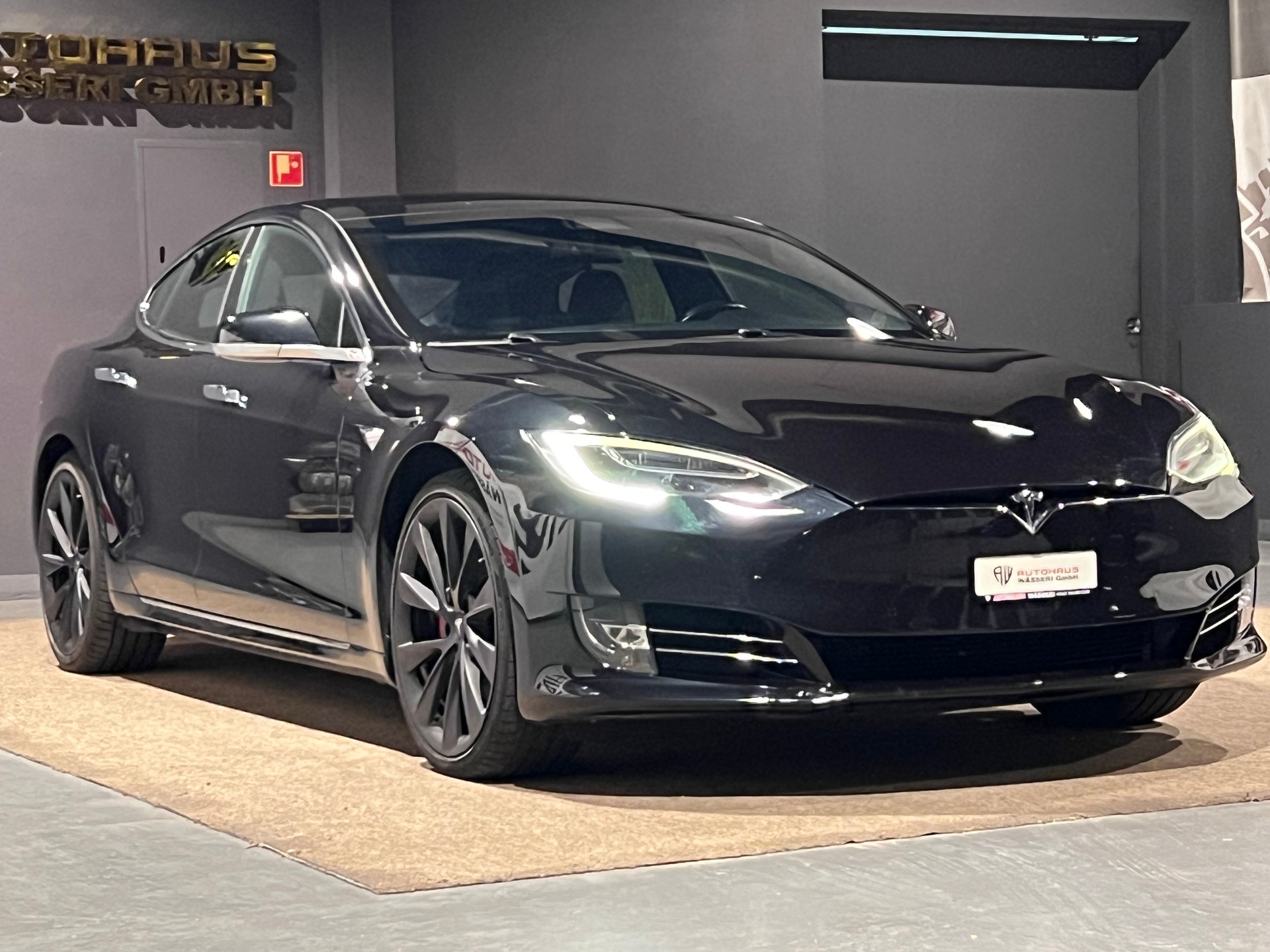 TESLA Model S 100 D Performance-image-0