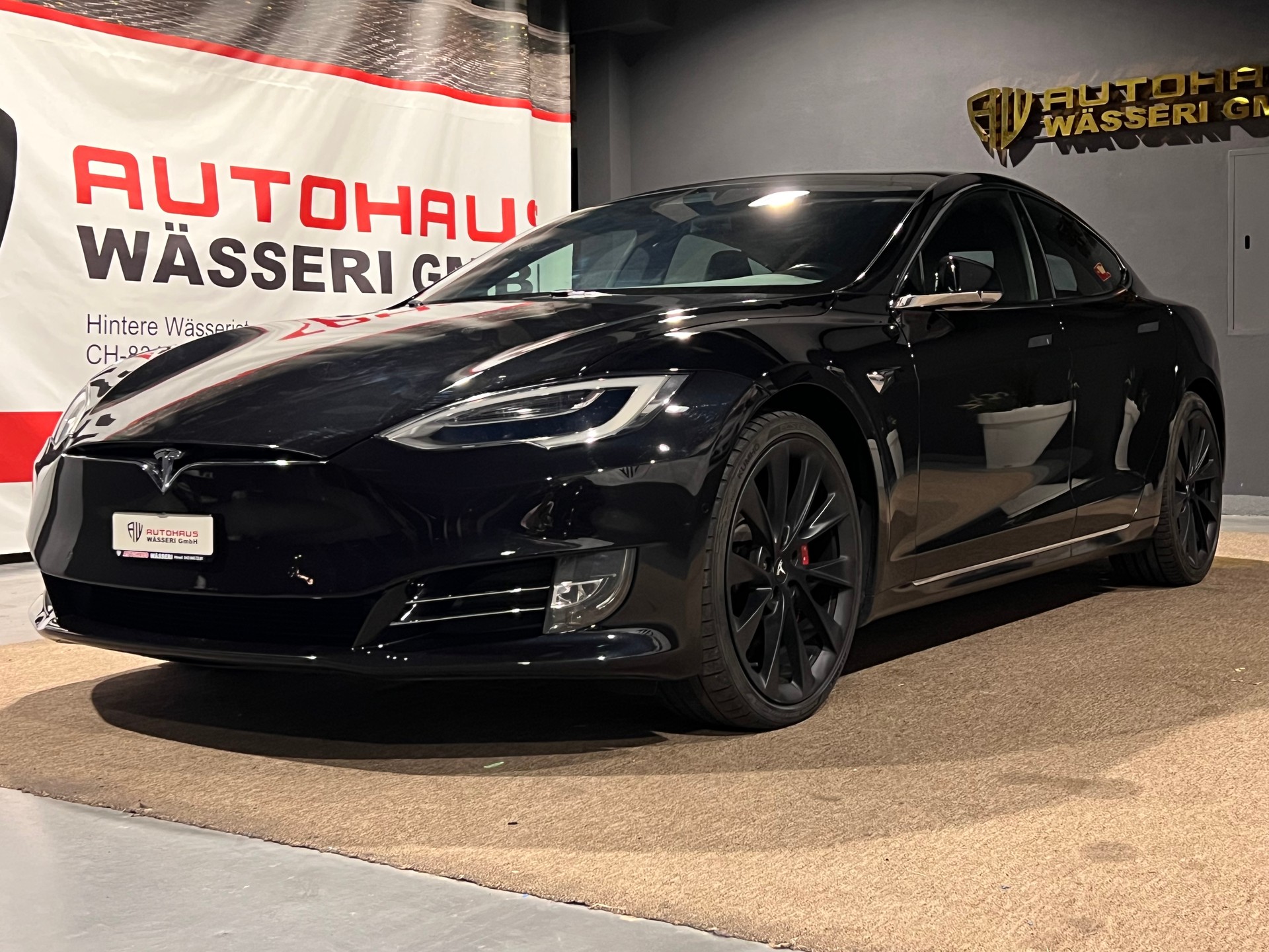 TESLA Model S 100 D Performance-image-7