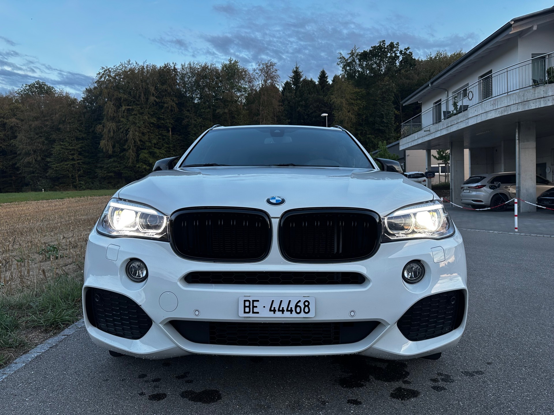 BMW X5 xDrive 30d Steptronic-image-5