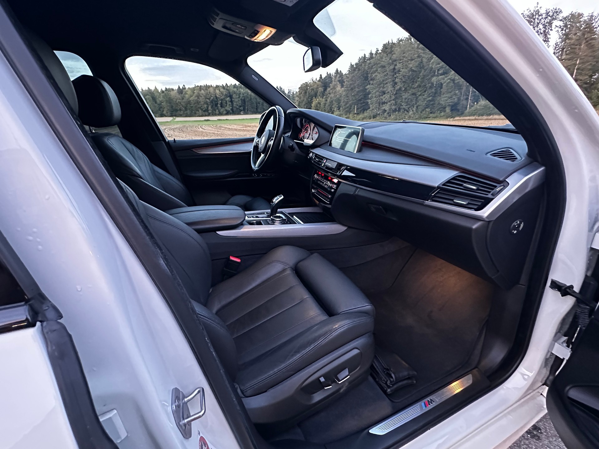 BMW X5 xDrive 30d Steptronic-image-10