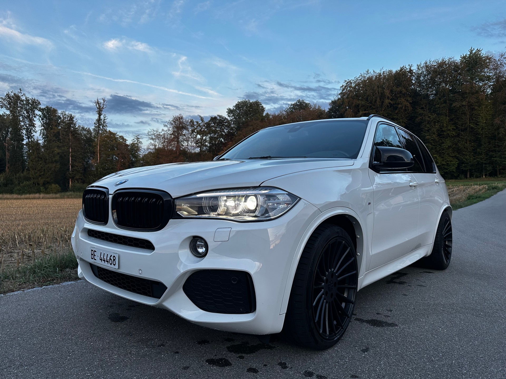 BMW X5 xDrive 30d Steptronic-image-3