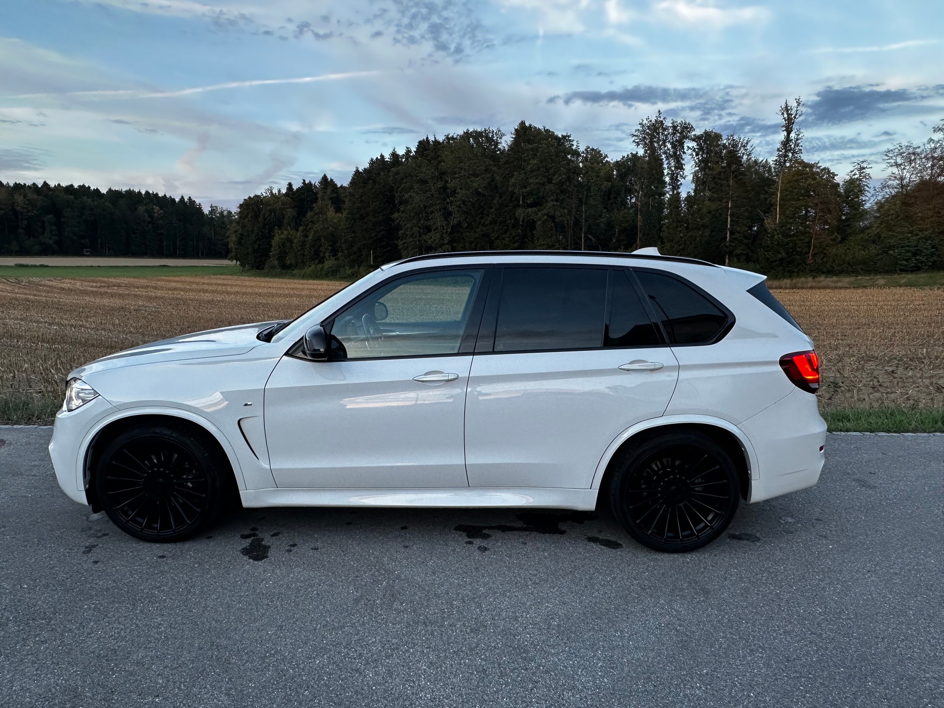 BMW X5 xDrive 30d Steptronic-image-2
