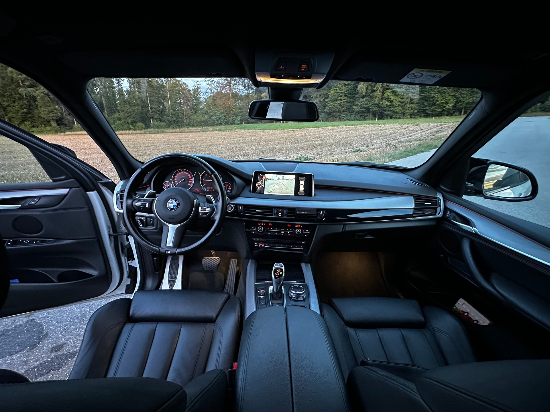 BMW X5 xDrive 30d Steptronic-image-9