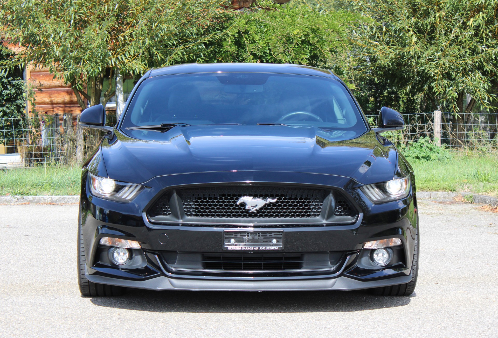 FORD Mustang Fastback 5.0 V8 GT-image-5