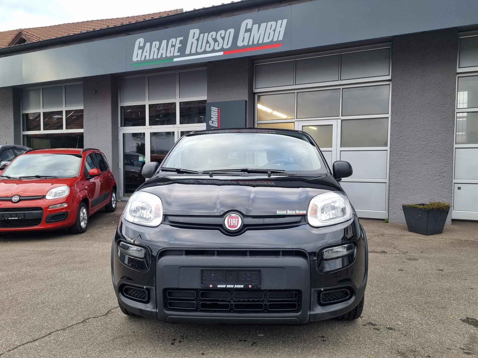 FIAT Panda 1.0 MHEV Cult-showroom-element-1