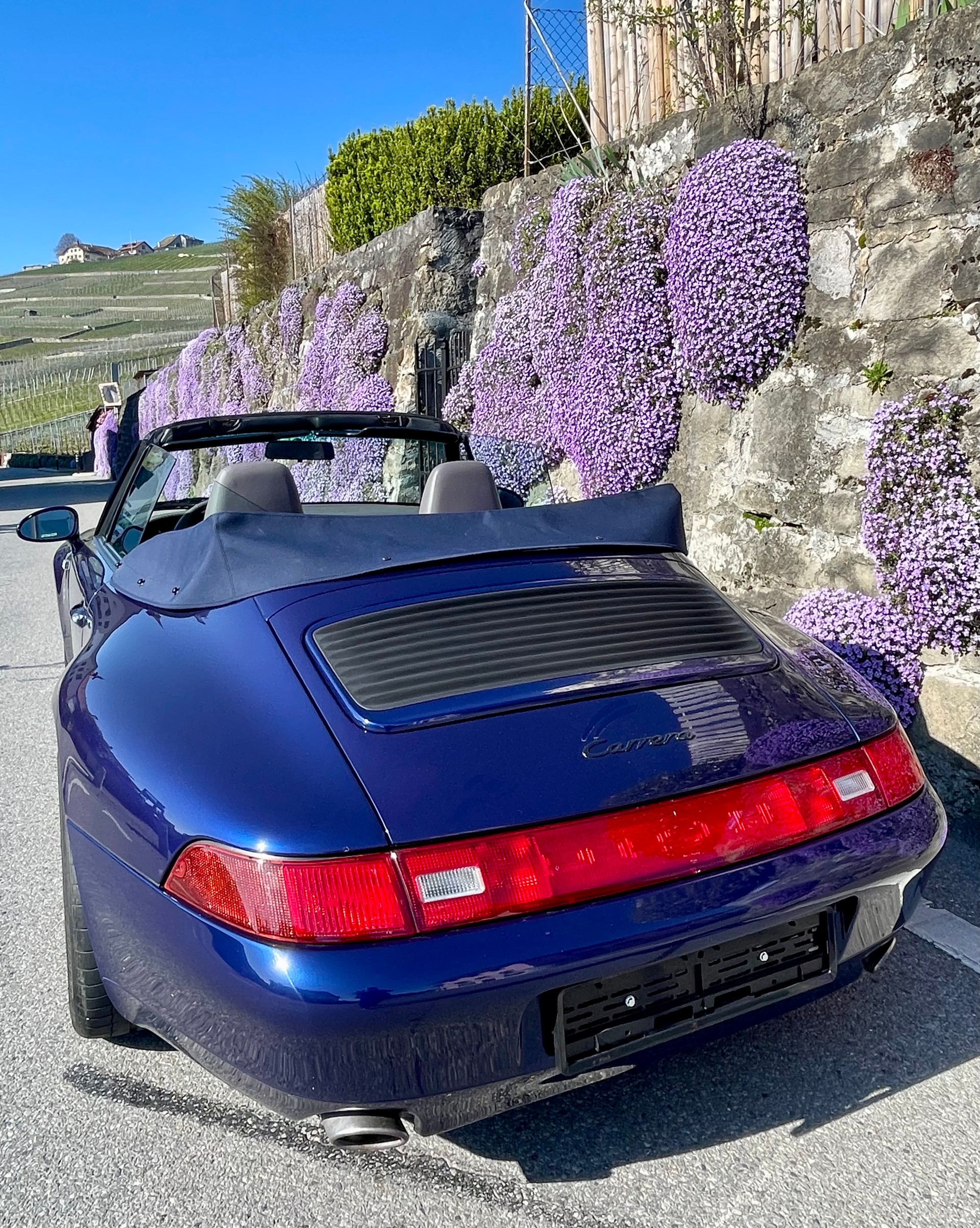 PORSCHE 911 Carrera Cabrio-image-11