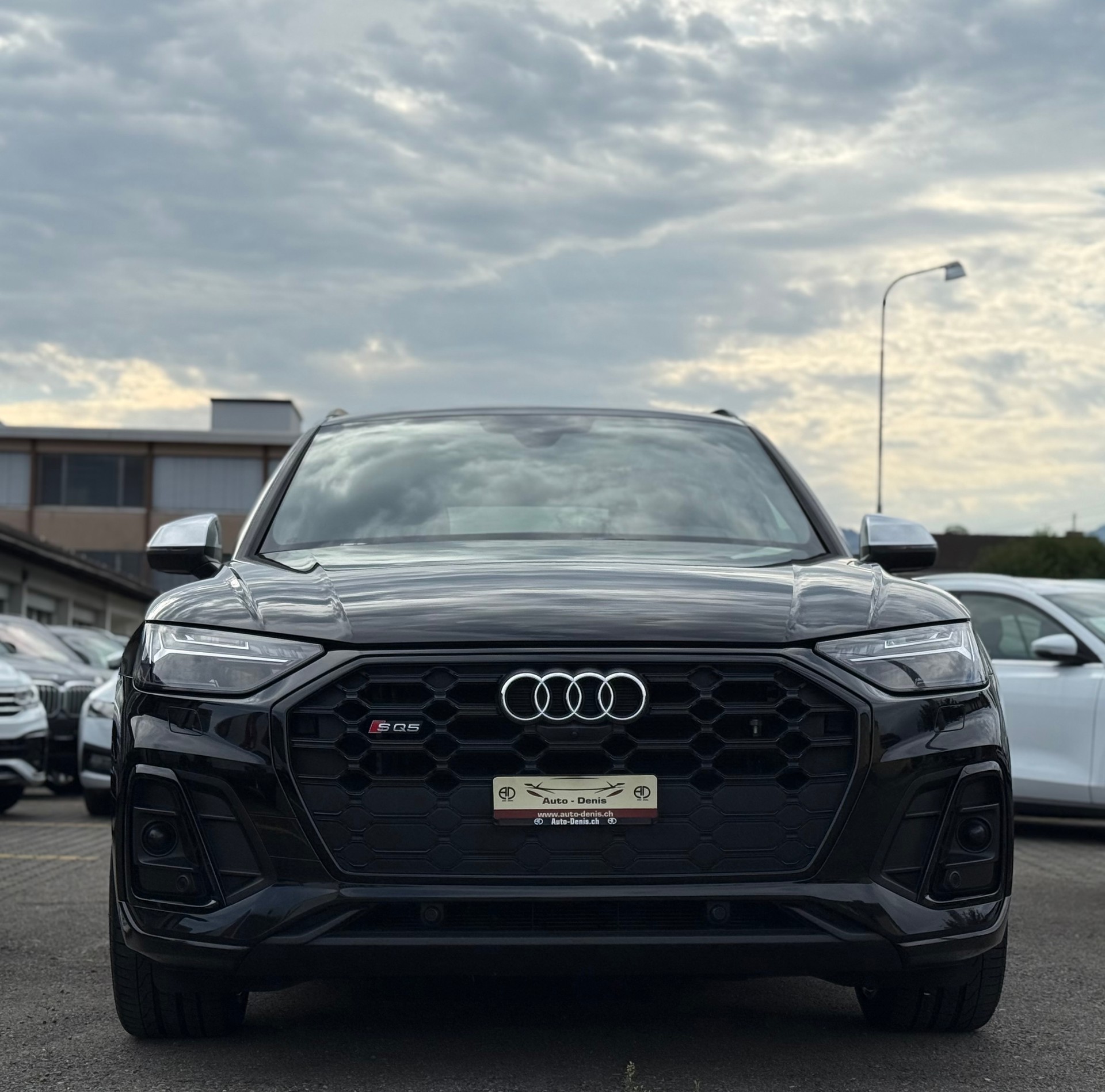 AUDI SQ5 3.0 V6 TDI quattro T-Tronic *Traumausstattung*-image-2