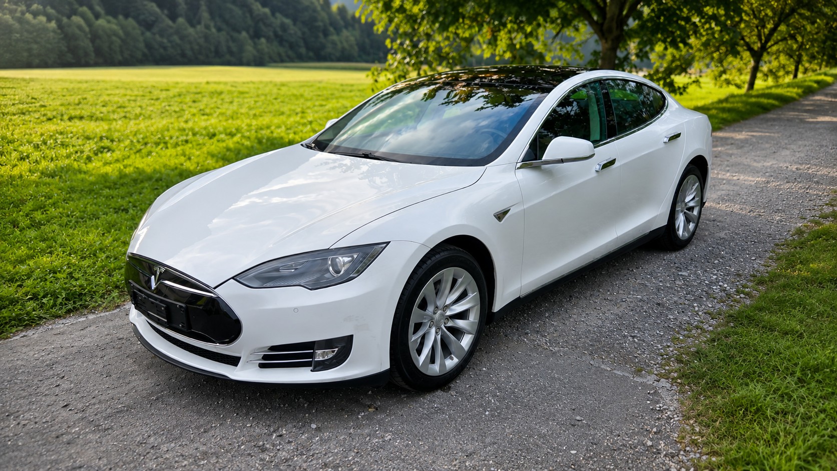 TESLA 85-image-1
