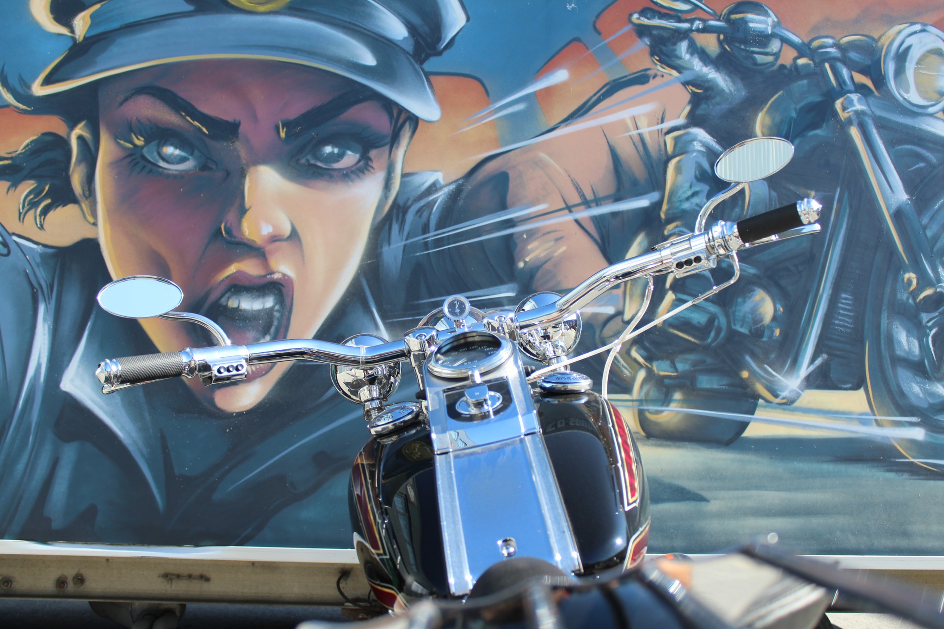 HARLEY-DAVIDSON FLSTS Heritage Springer-image-10