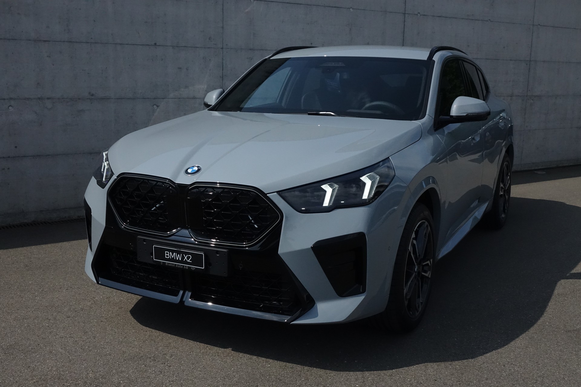 BMW X2 xDr 20d 48V M Sp. Pro-image-1