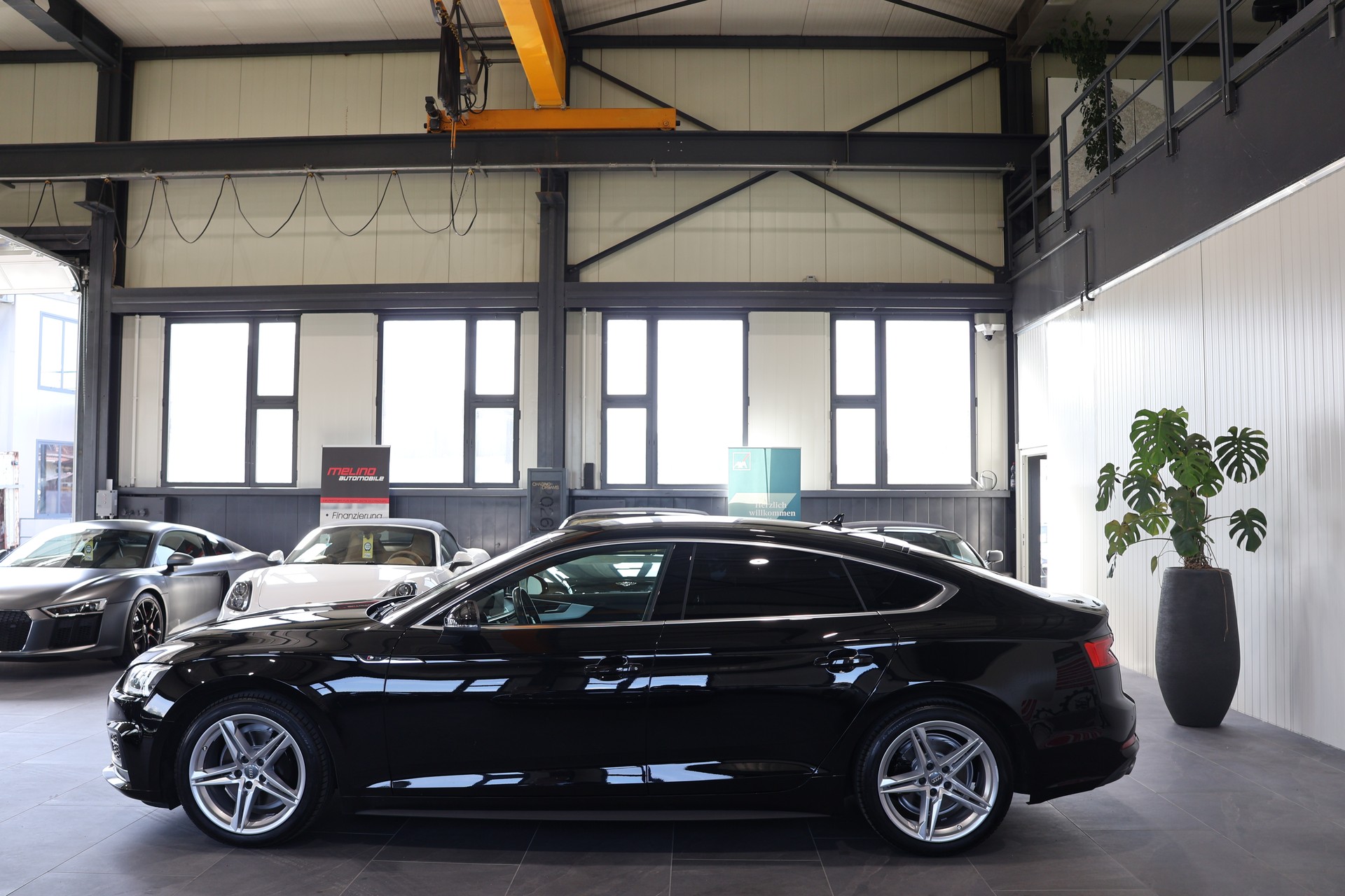 AUDI A5 Sportback 3.0 TDI quattro S-Line-image-4
