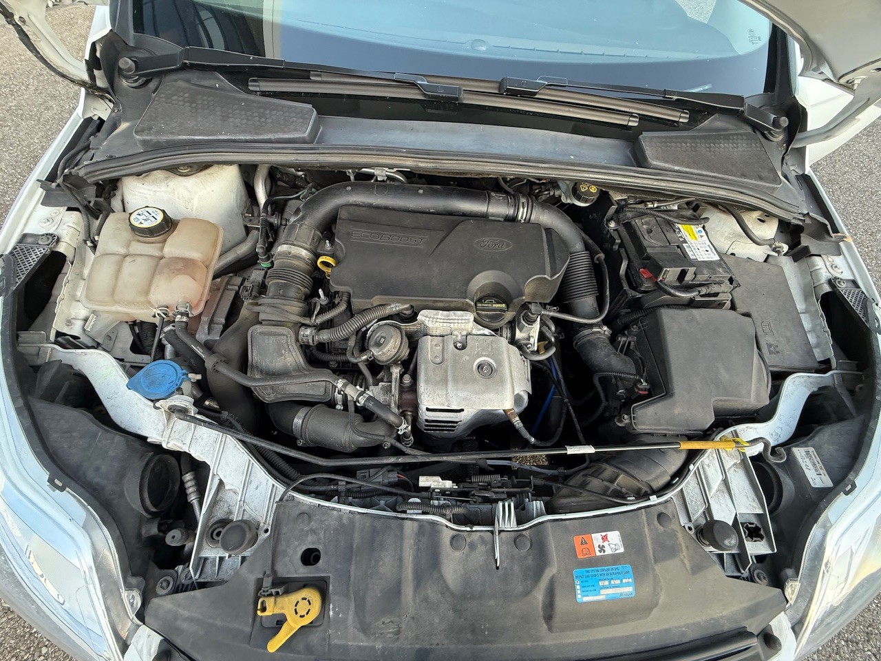 FORD Focus 1.0 SCTi Titanium-image-15
