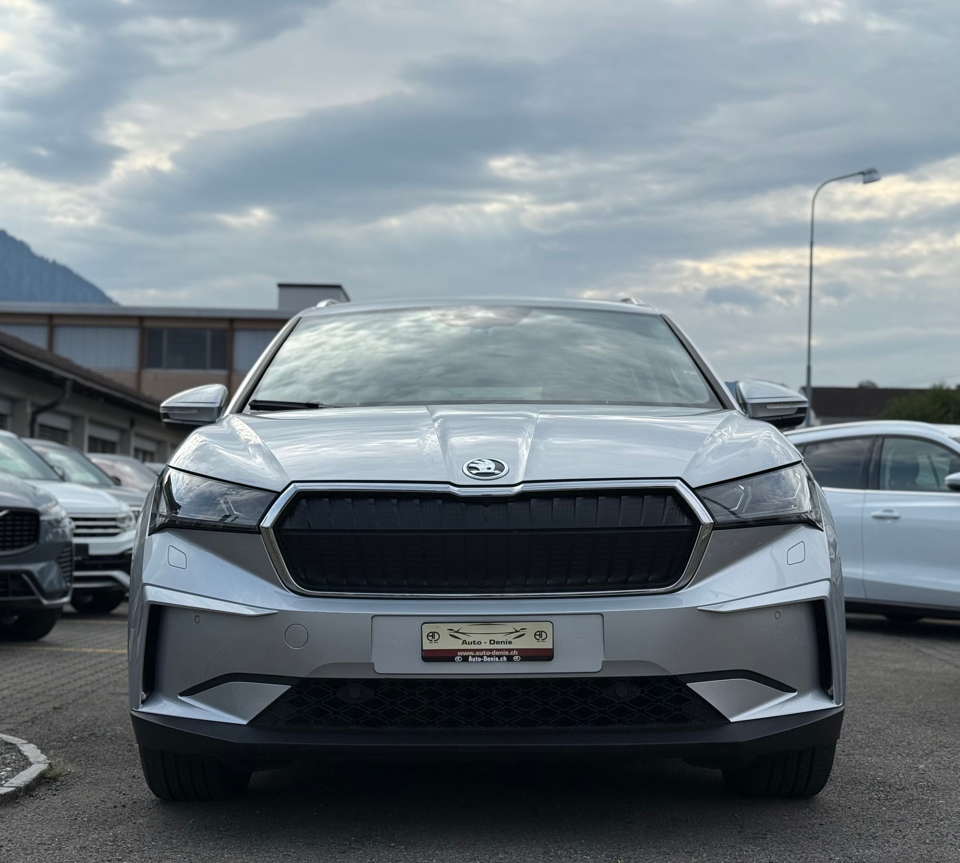 SKODA Enyaq iV 80x-image-2