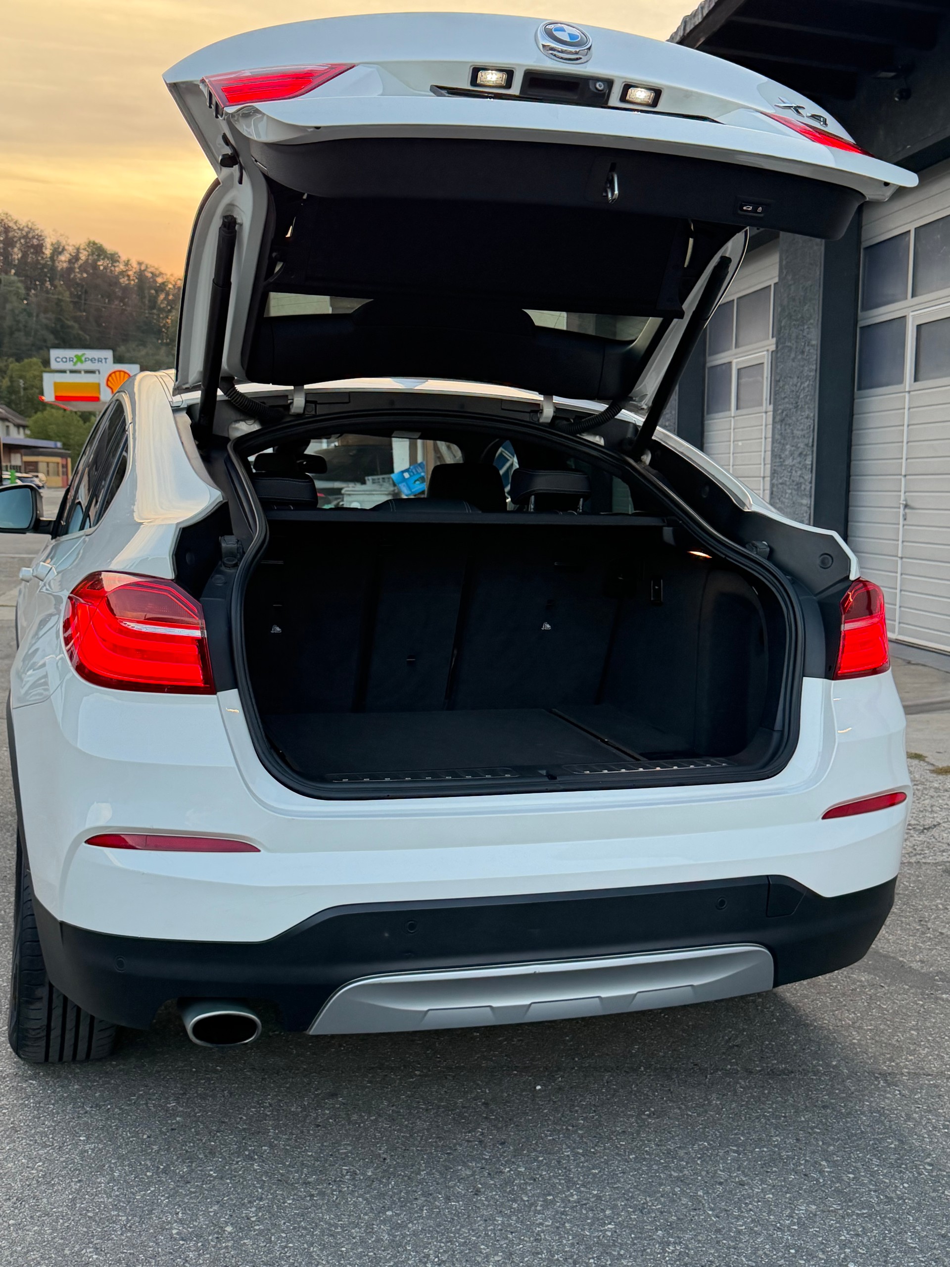 BMW X4 xDrive 20d xLine Steptronic-image-6