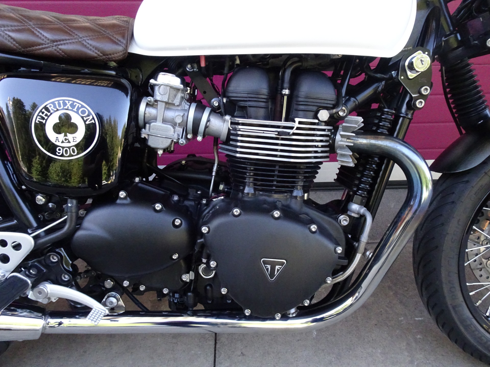 TRIUMPH Thruxton 900 i ACE-image-9