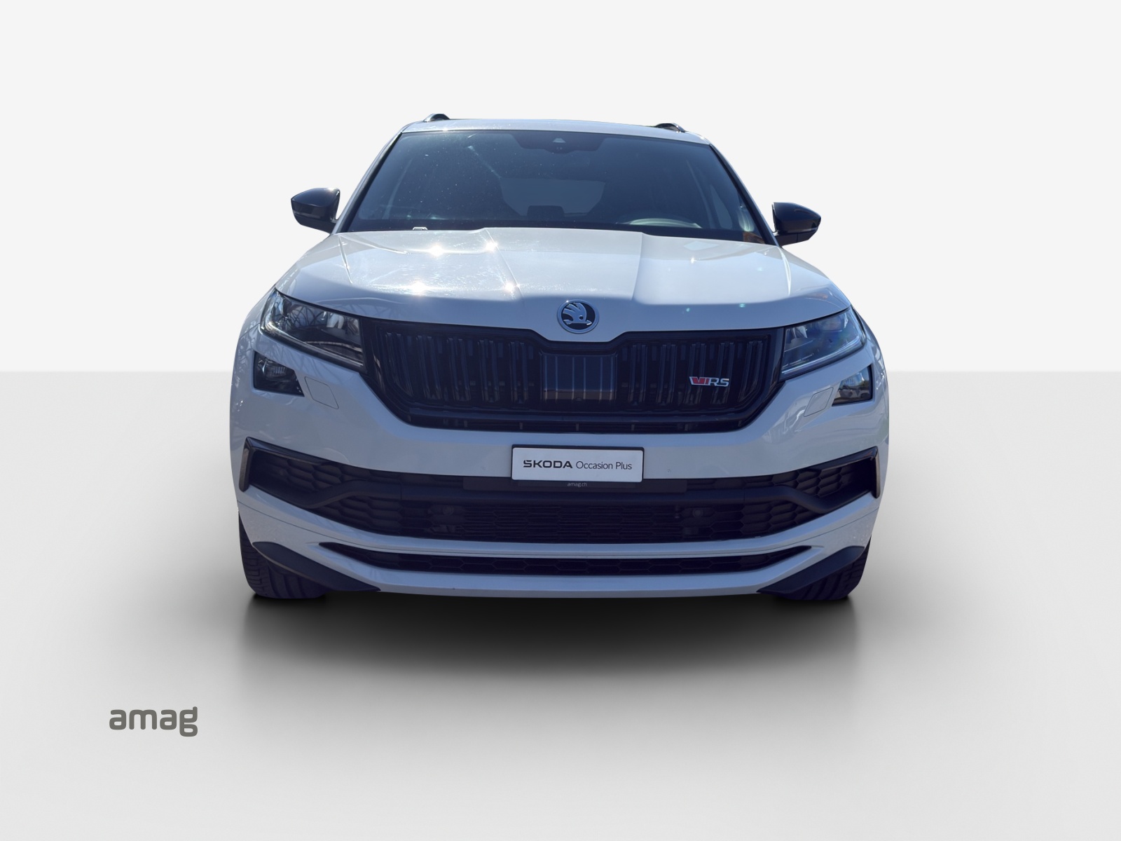 SKODA Kodiaq 2.0 Bi-TDI SCR RS 4x4 DSG-image-6