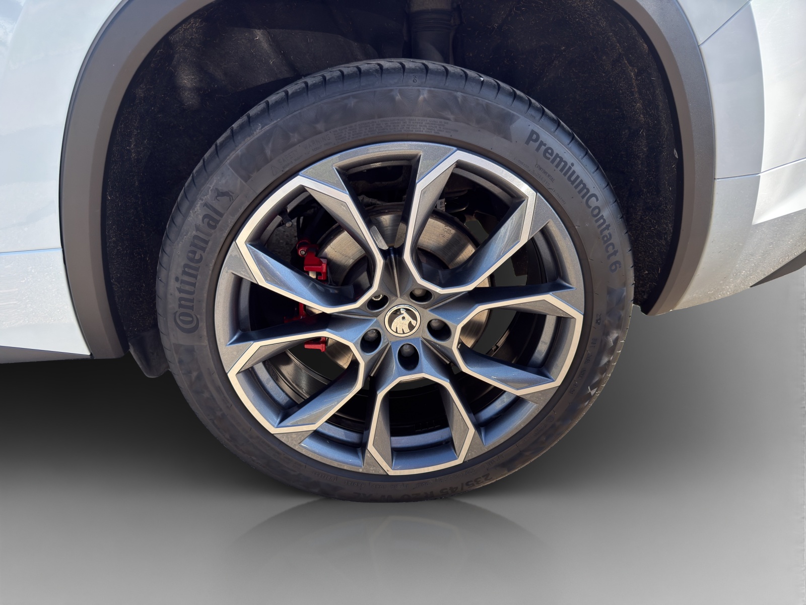 SKODA Kodiaq 2.0 Bi-TDI SCR RS 4x4 DSG-image-15
