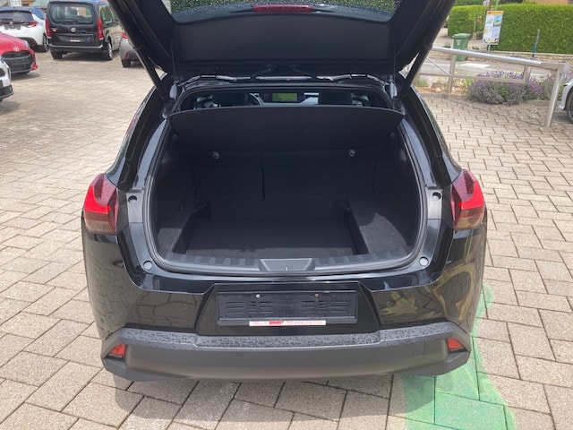 LEXUS UX 250h Excellence AWD Automatic-image-7