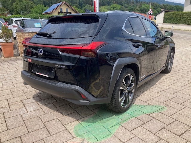 LEXUS UX 250h Excellence AWD Automatic-image-4