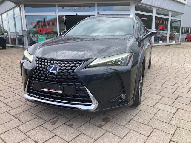 LEXUS UX 250h Excellence AWD Automatic-image-1