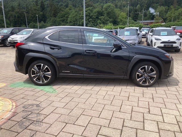 LEXUS UX 250h Excellence AWD Automatic-image-3